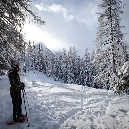In Near Lift *