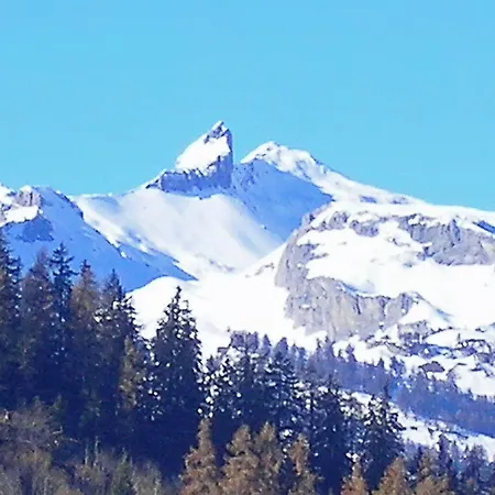 In Near Lift